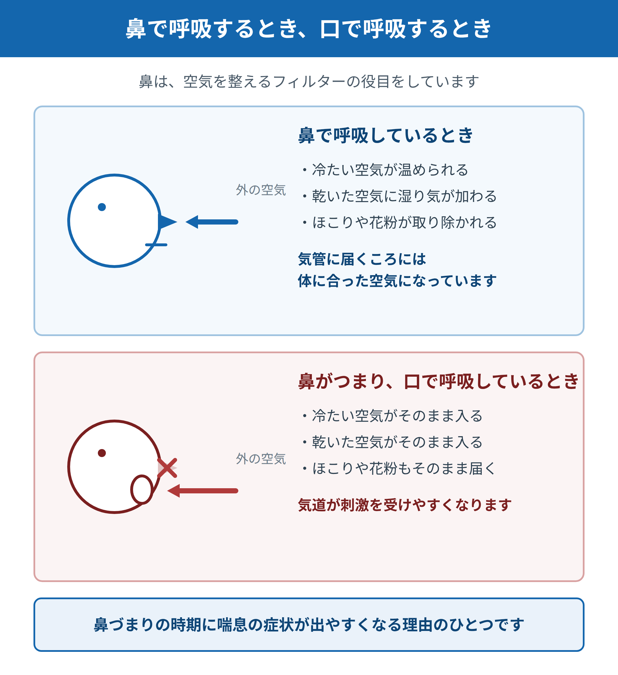 鼻で呼吸しているときと、鼻がつまって口で呼吸しているときを比較した図。鼻呼吸では空気が温められ湿り気が加わりほこりが取り除かれるのに対し、口呼吸では冷たく乾いた空気がそのまま気道に入ることを示している。